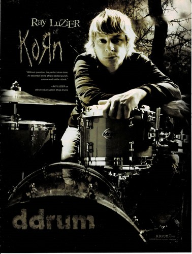 Ddrum ray luzier korn - -,