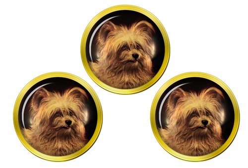 Skye terrier golf - golf, ball