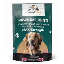 Green Lipped Mussel For Dogs + Glucosamine + MSM - Senior Dog Joint Care Support