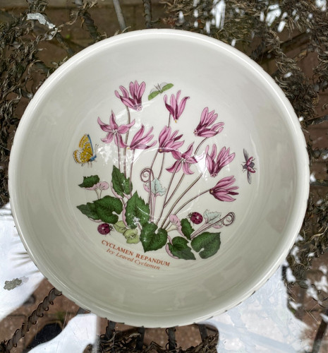 Portmeirion susan williams - portmeirion,