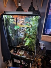 Exo Terra Xl Reptile Vivarium Terrarium
