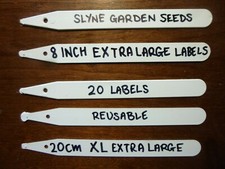 20 Extra Large Stick Plant