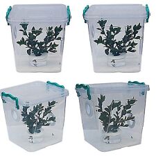 Stick Insect,Leaf Insect Arboreal Vivarium,Tank,+Twig Pot + Atomizer + Substrate