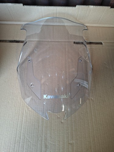 Kawasaki 1000 front - kawasaki,