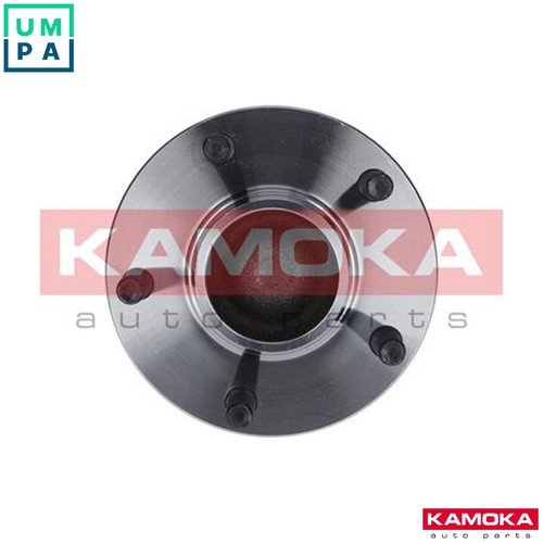 Wheel bearing kit - wheel,