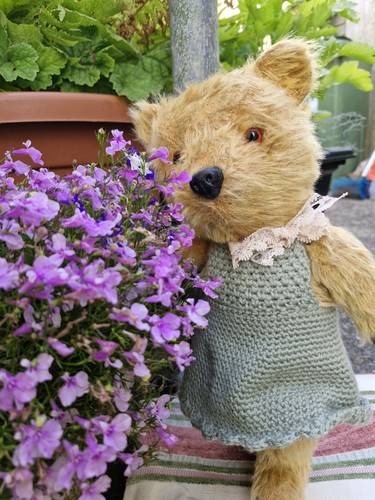 Cute vintage chiltern bear - cute,