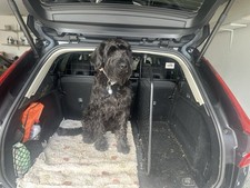 Guardsman Dog Guard For Volvo