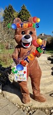 Hire Brown Teddy Bear costume