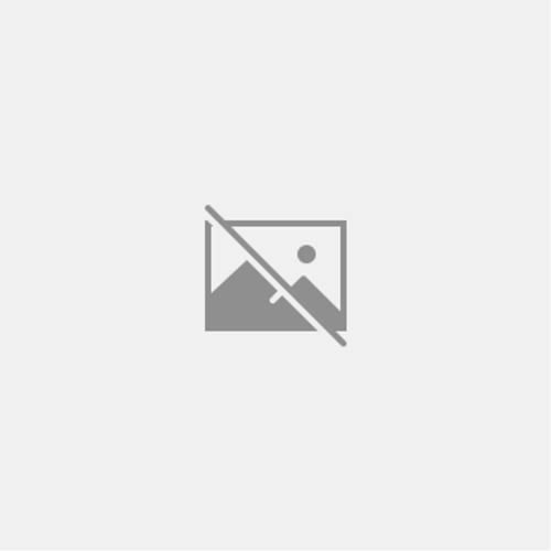 Financial and management - financial,