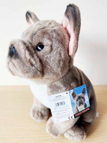 Blue french bulldog it is - blue, bulldog,