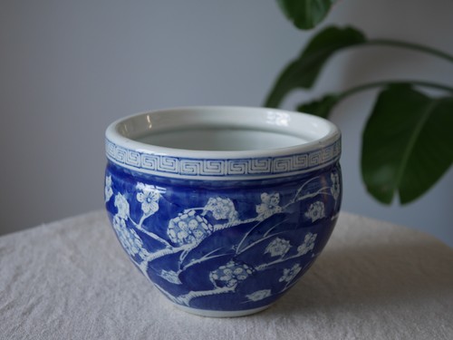Blue and white - and,