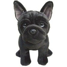 Black French Bulldog teddy