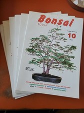 Bonsai Today Magazine - Lot of