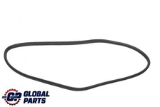 BMW F30 Rear Door Seal Gasket