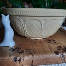 T G Green Ltd Mixing Bowl 10"