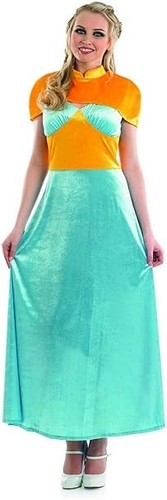 Medieval princessfancy dress - princessfancy,