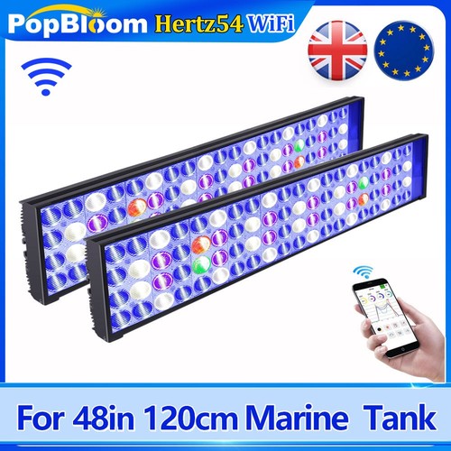 Popbloom h54 wifi led - 2x,