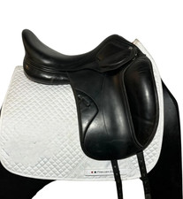 Amerigo Classic Dressage