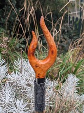 Yew wood carved Thumb Stick On A 49" Hazel with buffalo horn collar