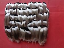 100 Small Mallard Duck Wing Feathers 1.5" - 2.5" / 3cm - 6cm Jewellery