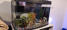 Love Fish Panorama Tank 64L