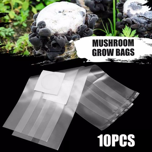100pcs mushroom grow - grow, bags
