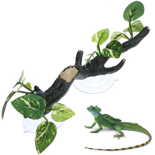 Reptile corner branch - reptile,