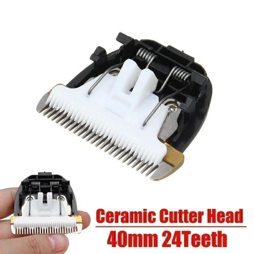 Ceramic titanium replacement - titanium,