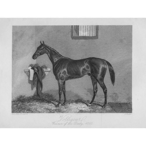 Voltigeur racehorse winner of - voltigeur,