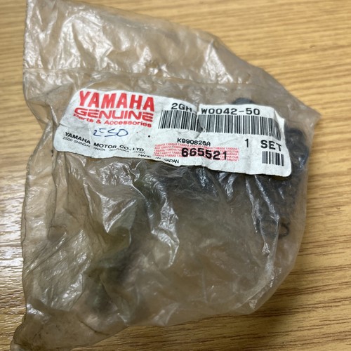 Yamaha cylinder kit master - yamaha,