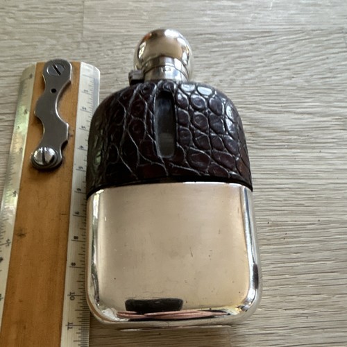 James dixon crocodile covered - crocodile,