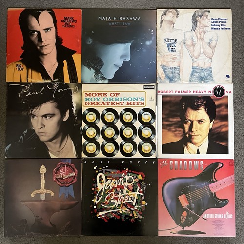 Vinyl records job - vinyl,