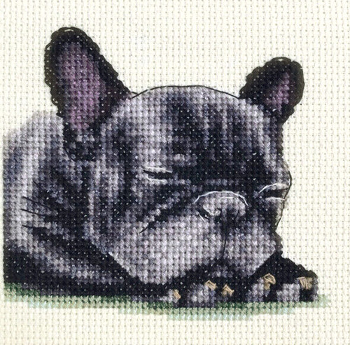 Black french bulldog - black,