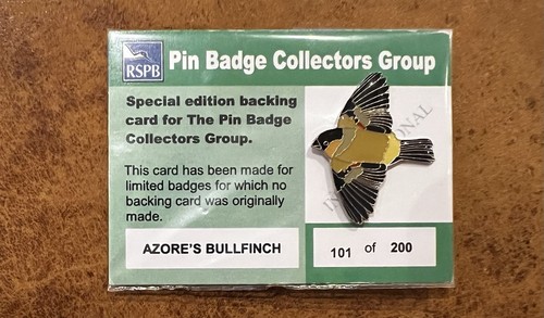 Azore bullfinch pin badge - azore’s,