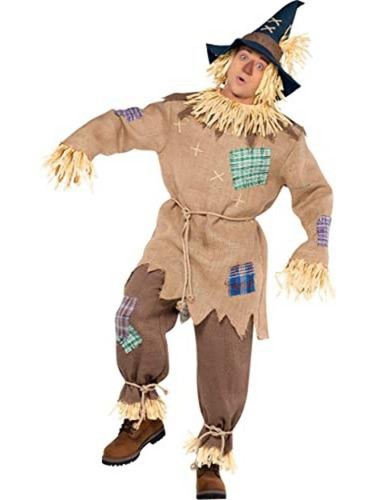 Scarecrow costume with - mr.,