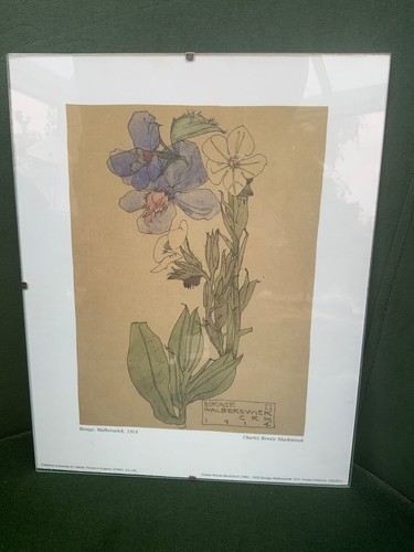 Borage charles rennie - borage,