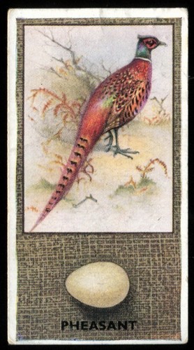 Tobacco card godfrey - tobacco, card,