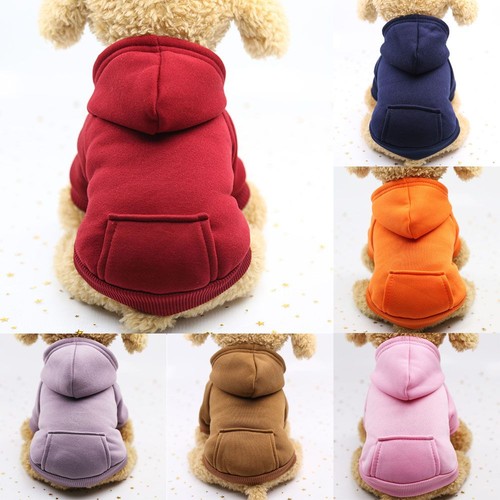 Autumn winter puppy - autumn,