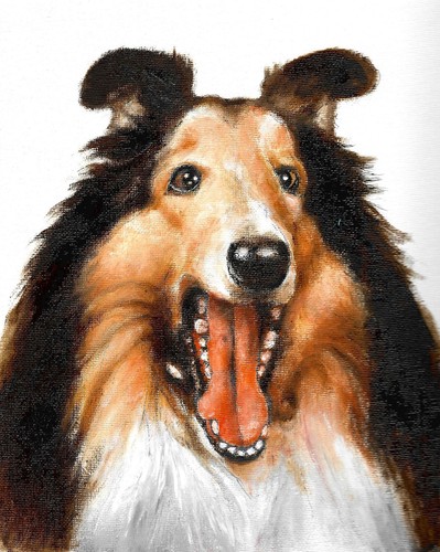 Original oil dog - dog, portrait