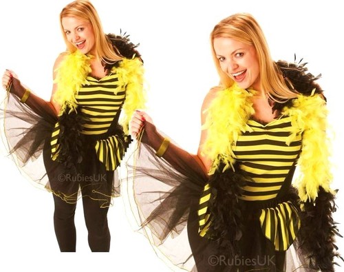 Ladies bumble bee fancy - bee,