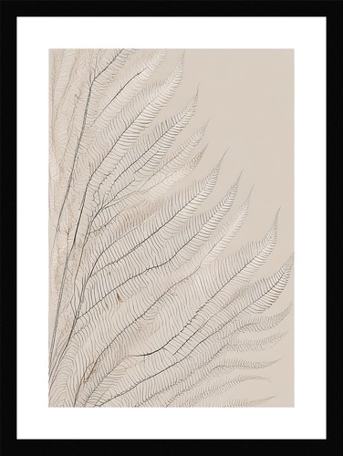 Exquisite fern fronds print - fern,