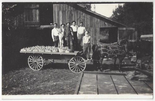1910 horse drawn - -, real