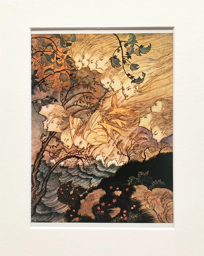 Arthur rackham the - rackham,