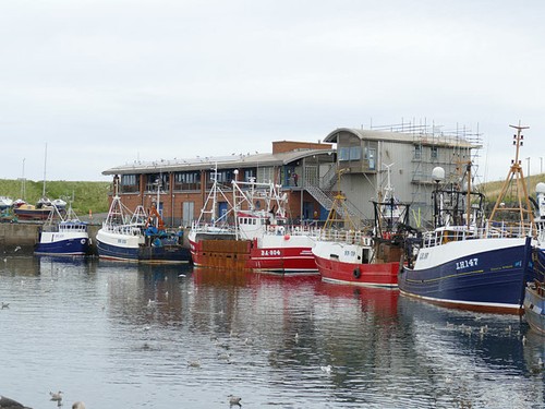 Photo 6x4 trawlers - photo,