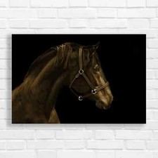 Powerful Black Horse Sepia