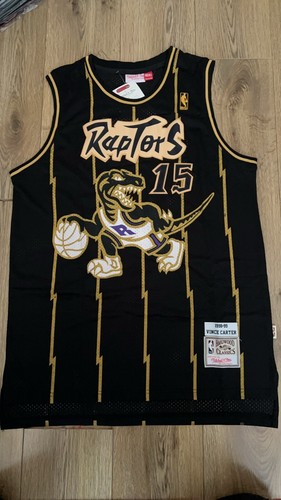Toronto raptors nba - toronto,