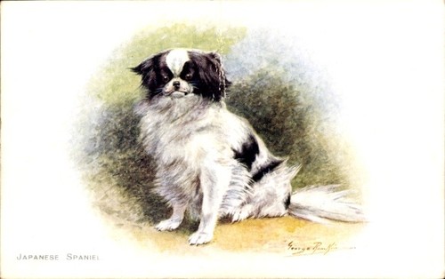 Artist postcard dog - postcard, japanese