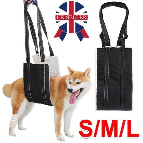 Pet dog mobility - aids, support