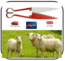 Sheep Shears 12" Lightweight