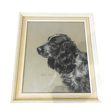ANTIQUE SPANIEL DOG DRAWING PAINTING 1930 BY SIDNEY LANGDON GULVAL JOKER